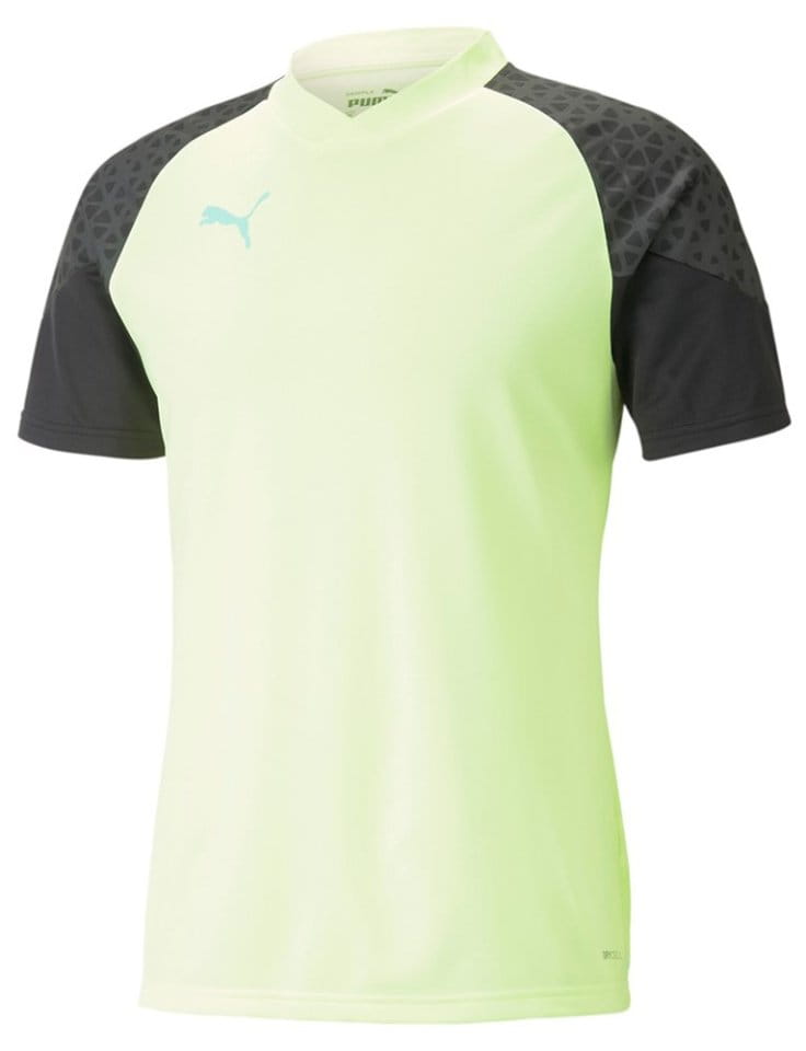 Dres Puma individualCUP Training Jersey